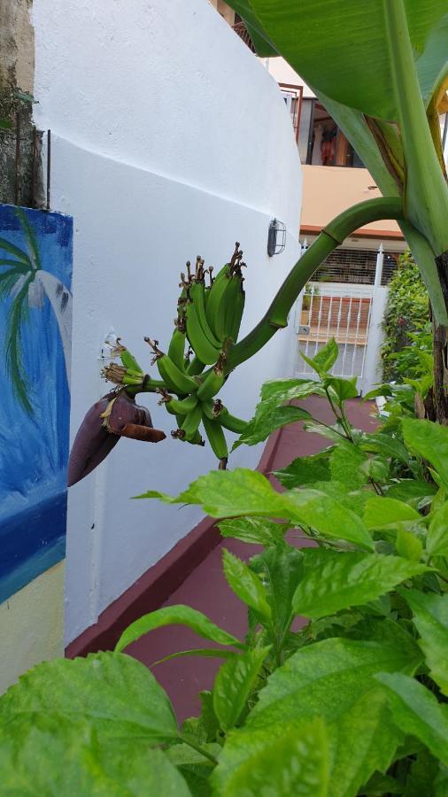 Playa Blanca Bed And Breakfast Bayahíbe Exterior foto